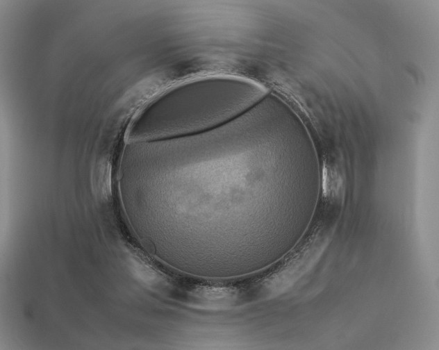 X0000113220205200909101157