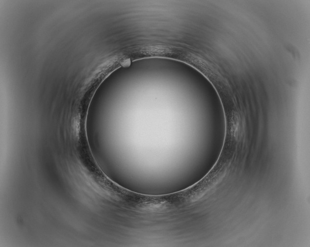 X0000113220206200909101157