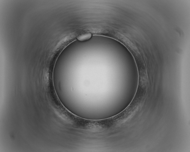 X0000113220207200909101157