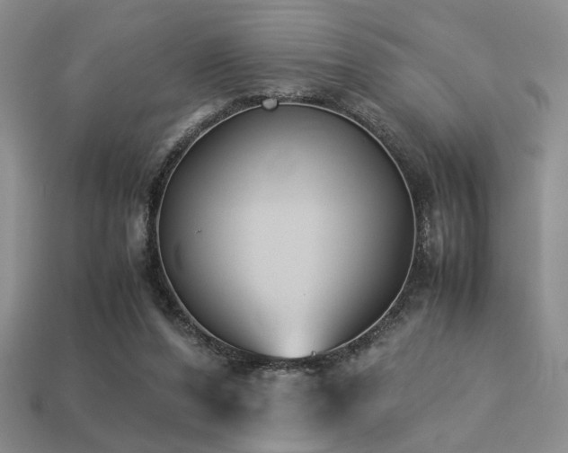 X0000113220208200909101157