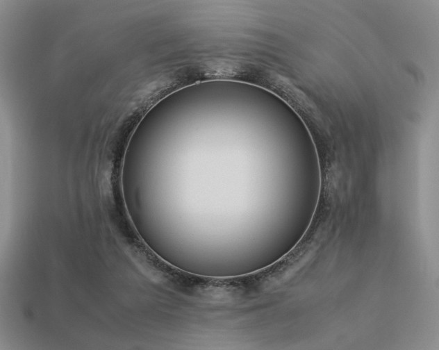 X0000113220209200909101157