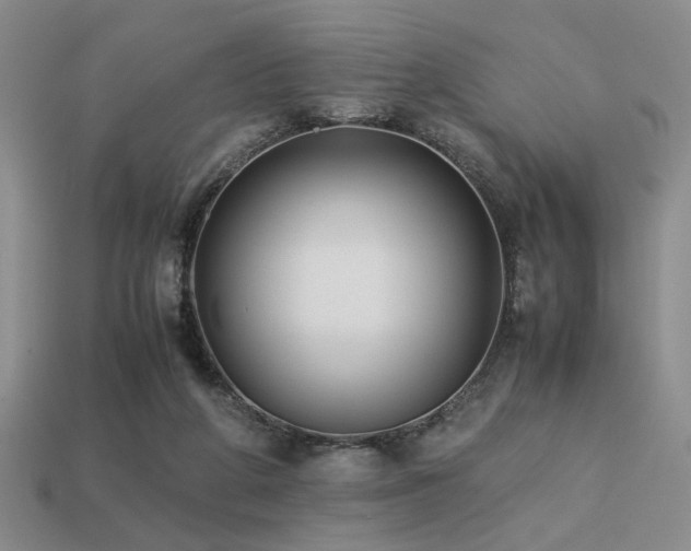 X0000113220210200909101157