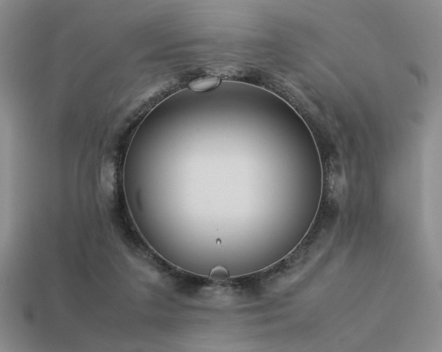 X0000113220211200909101157