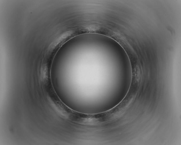 X0000113220212200909101157