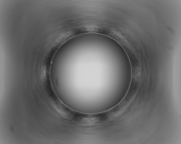 X0000113220213200909101157