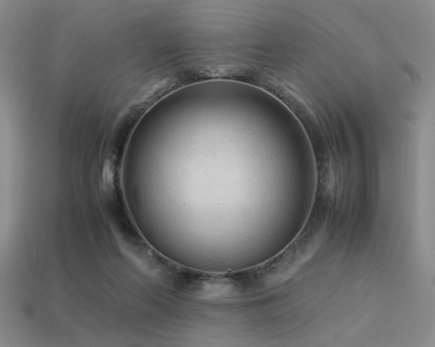 X0000113220214200909101157