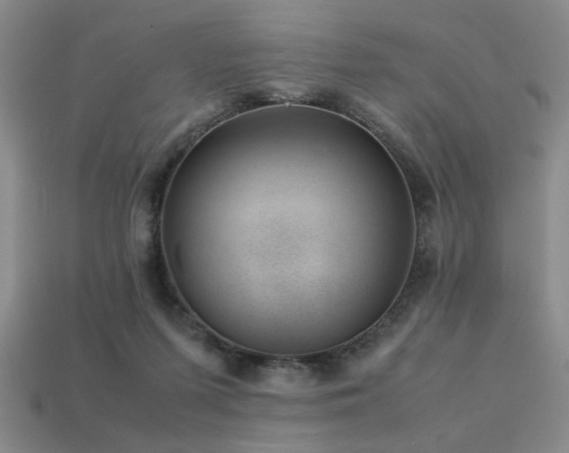 X0000113220215200909101157