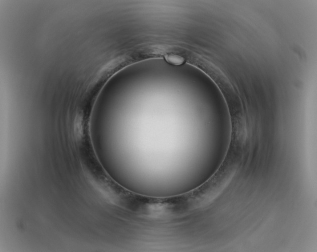 X0000113220216200909101157