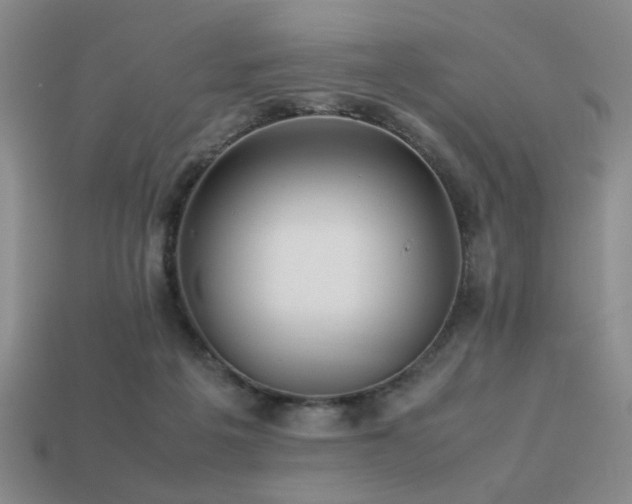 X0000113220217200909101157