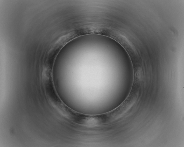 X0000113220218200909101157