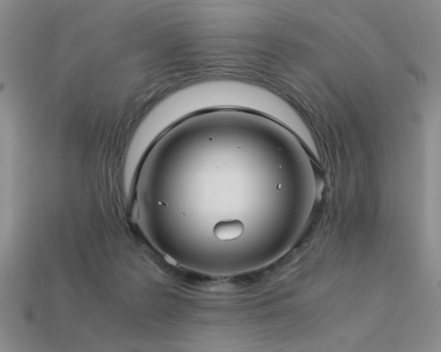 X0000113220219200909101157