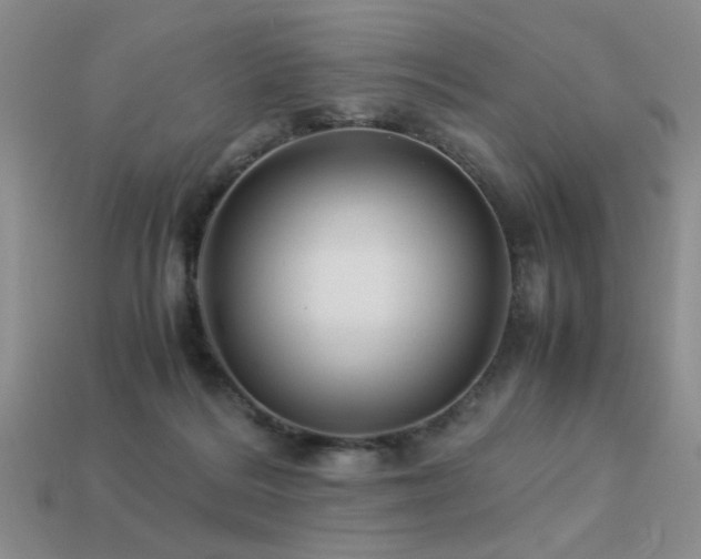 X0000113220220200909101157