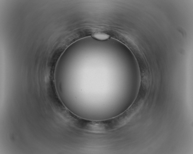 X0000113220221200909101157