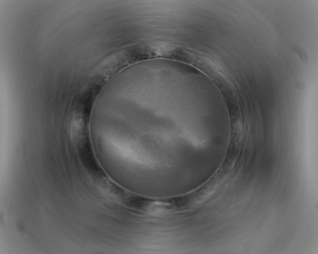 X0000113220222200909101157