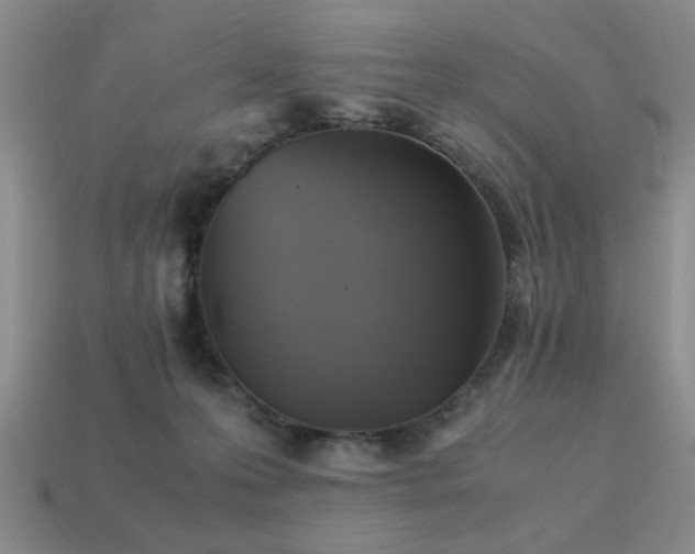 X0000113220223200909101157