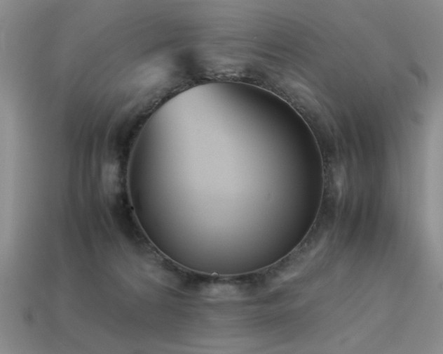 X0000113220224200909101157