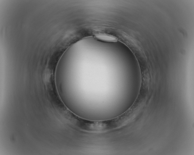 X0000113220225200909101157