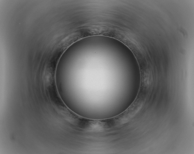 X0000113220226200909101157