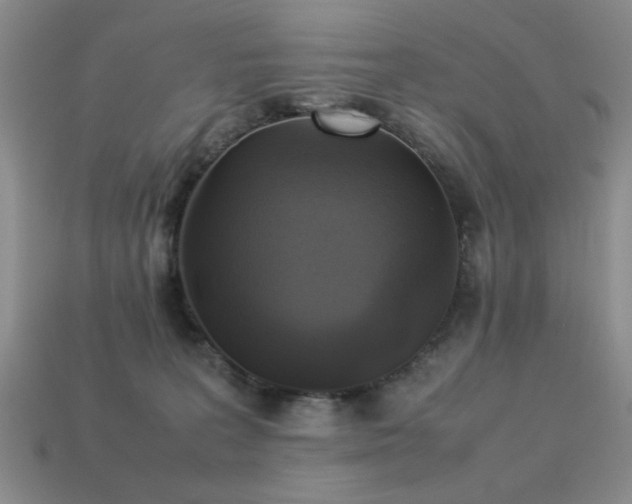 X0000113220227200909101157