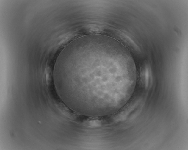 X0000113220228200909101157