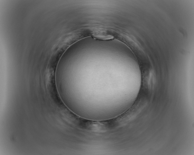 X0000113220229200909101157