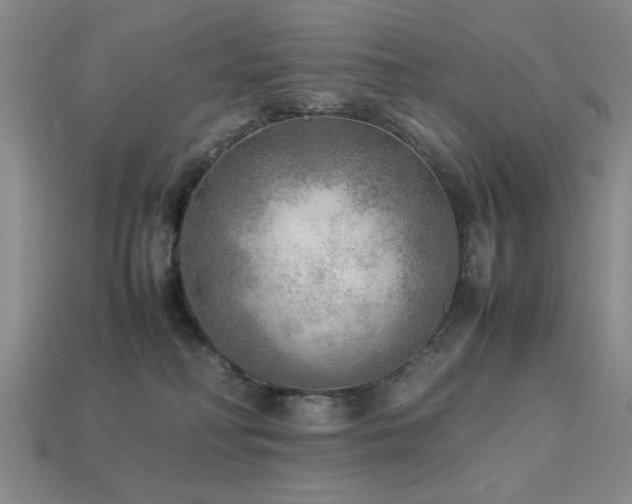 X0000113220230200909101157