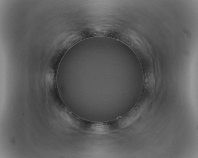 X0000113220231200909101157