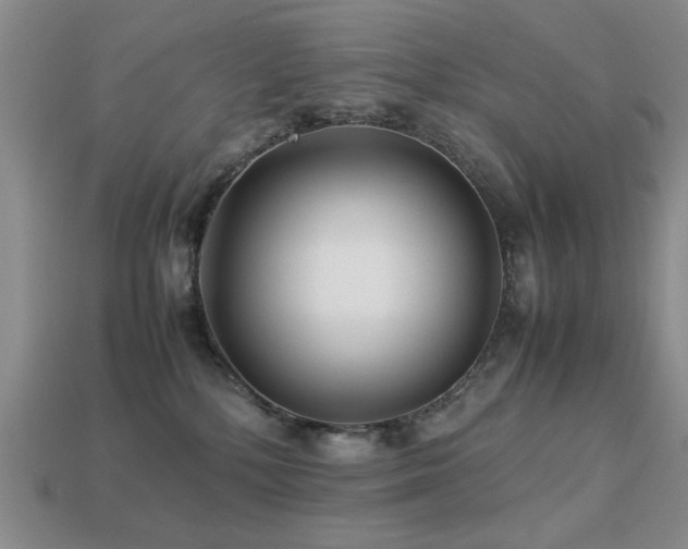 X0000113220232200909101157