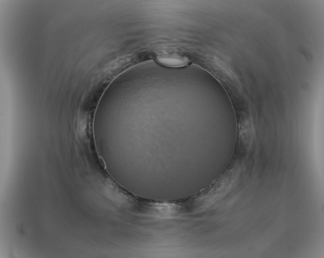 X0000113220233200909101157