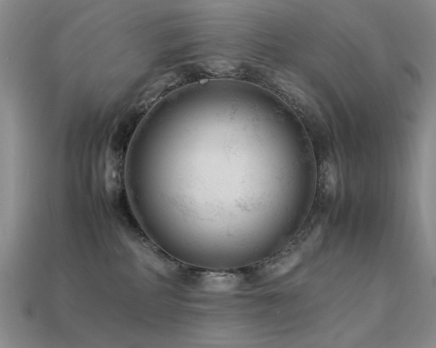 X0000113220234200909101157