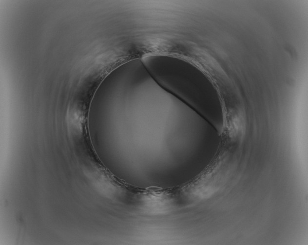 X0000113220235200909101157