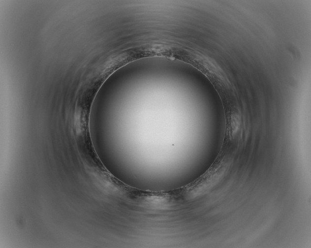 X0000113220236200909101157