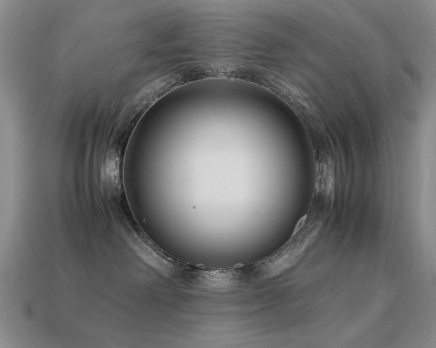 X0000113220238200909101156