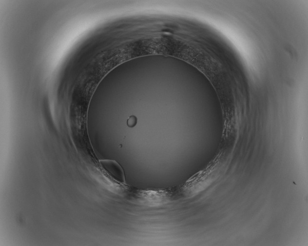 X0000113220239200909101156