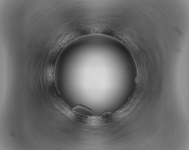 X0000113220240200909101156