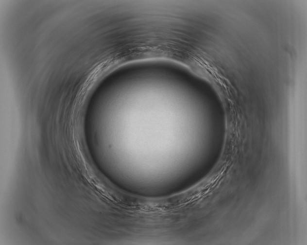 X0000113220241200909101156