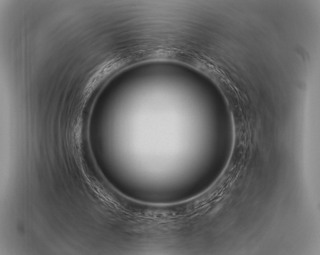 X0000113220242200909101156