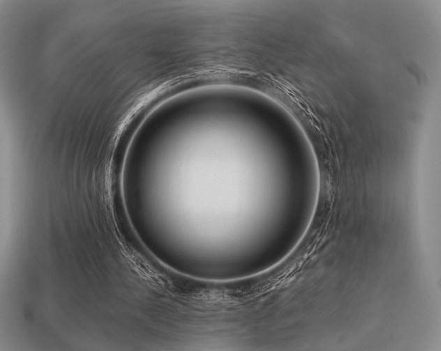 X0000113220244200909101156