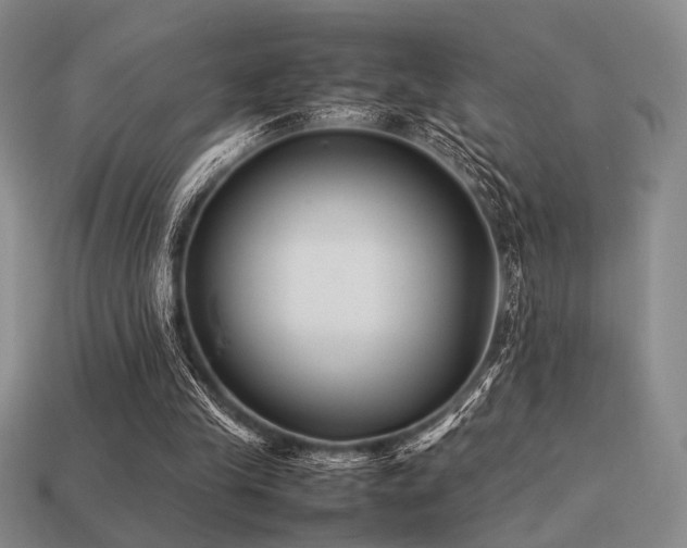 X0000113220245200909101156