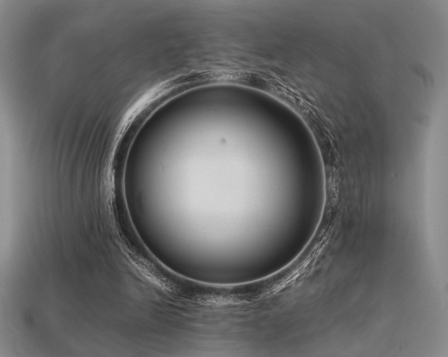 X0000113220246200909101156