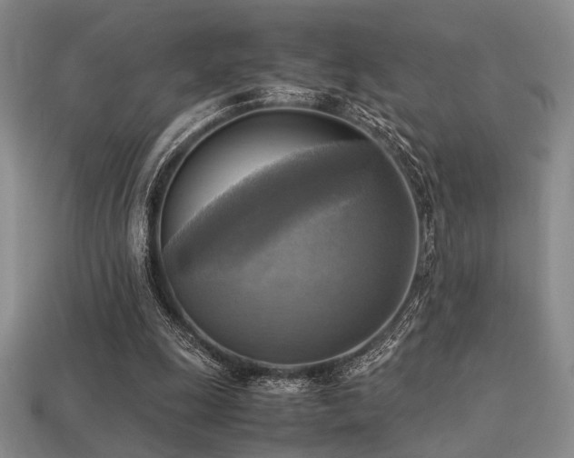 X0000113220247200909101156