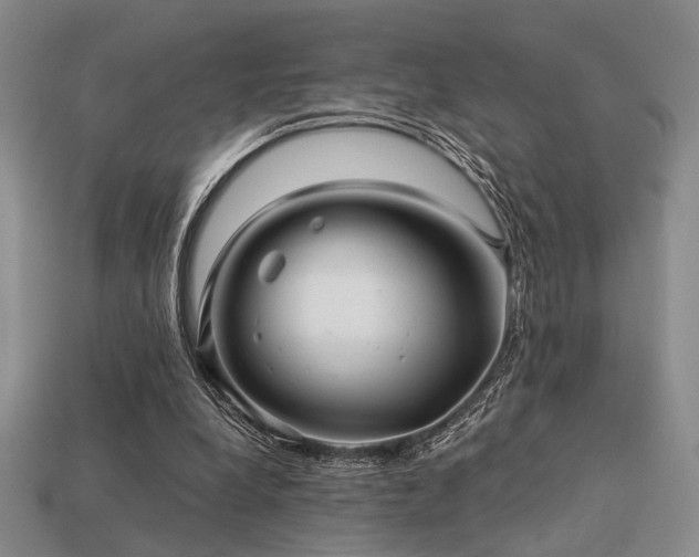 X0000113220248200909101156