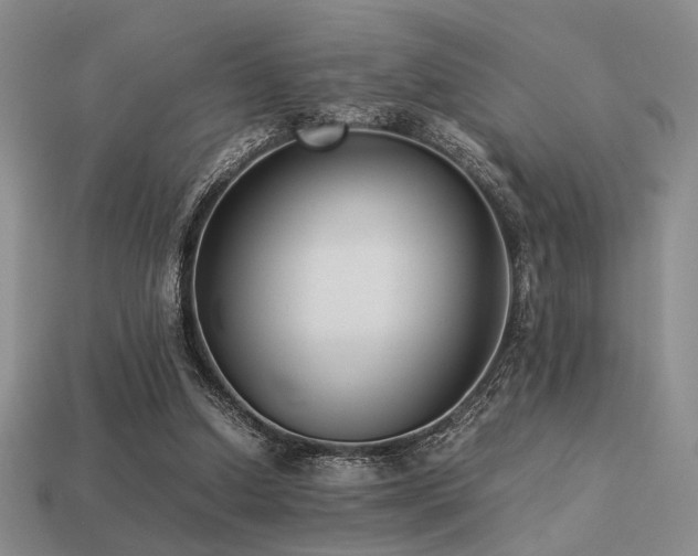 X0000113220250200909101156