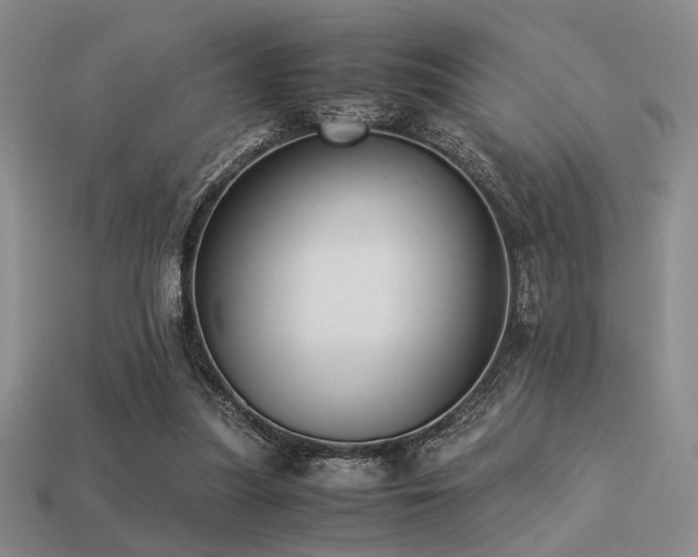 X0000113220251200909101156