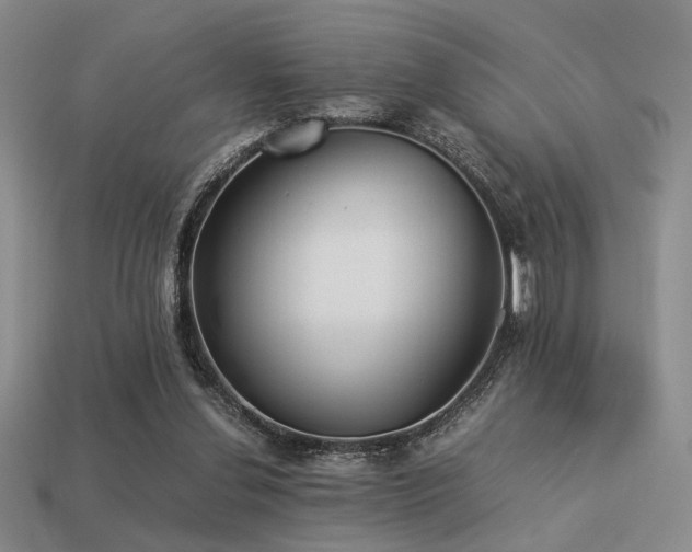 X0000113220252200909101156