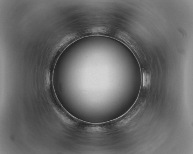 X0000113220253200909101156