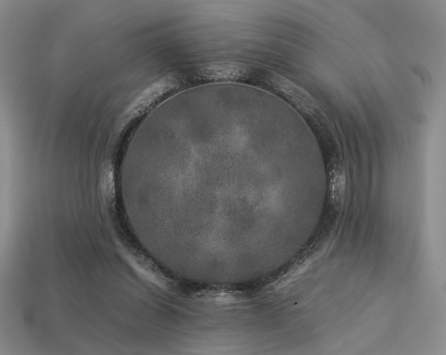 X0000113220254200909101156