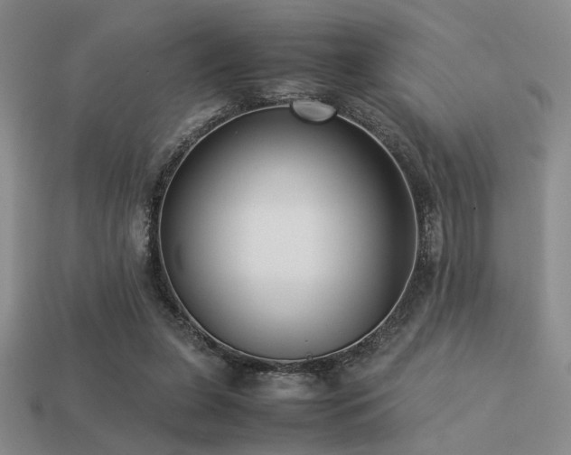 X0000113220255200909101156