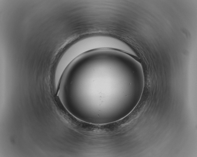 X0000113220256200909101156