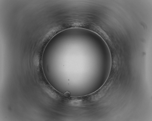 X0000113220257200909101156